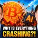 Why Are Bitcoin & AI Stocks CRASHING?!