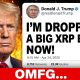 TRUMP JUST NUKED XRP... XRP WATCH FAST
