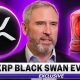 BRAD GARLINGHOUSE JUST CALLED OUT XRP BLACKSWAN EVENT LIVE ON TV!!!!