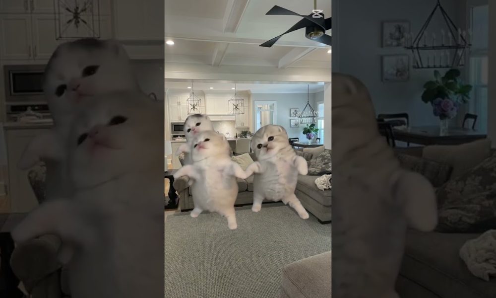 yo bailando en vez de estudiar #money #onlineshop #memes
