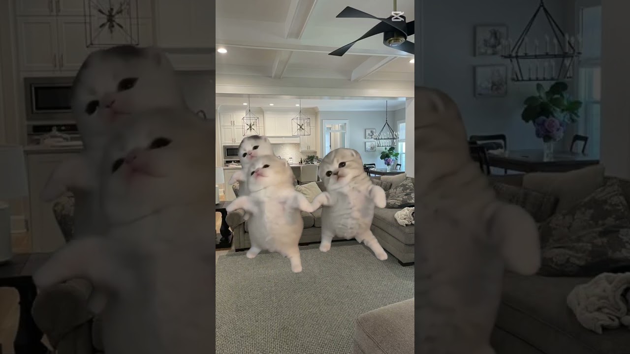 yo bailando en vez de estudiar #money #onlineshop #memes