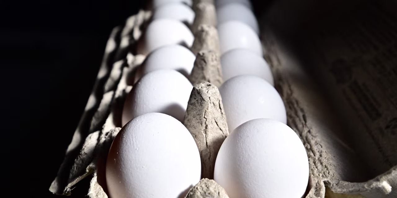 Inside the Egg Price-Fixing Scandal That Spiked American Grocery Bills