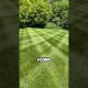 Top finds on people's garden  #crazy #discovery #finds #money #old