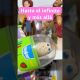 Toy Story 5 #colacao #toystory5 #baticao #disney #cute #barbie #emojicat #money #toystory #toy #lego