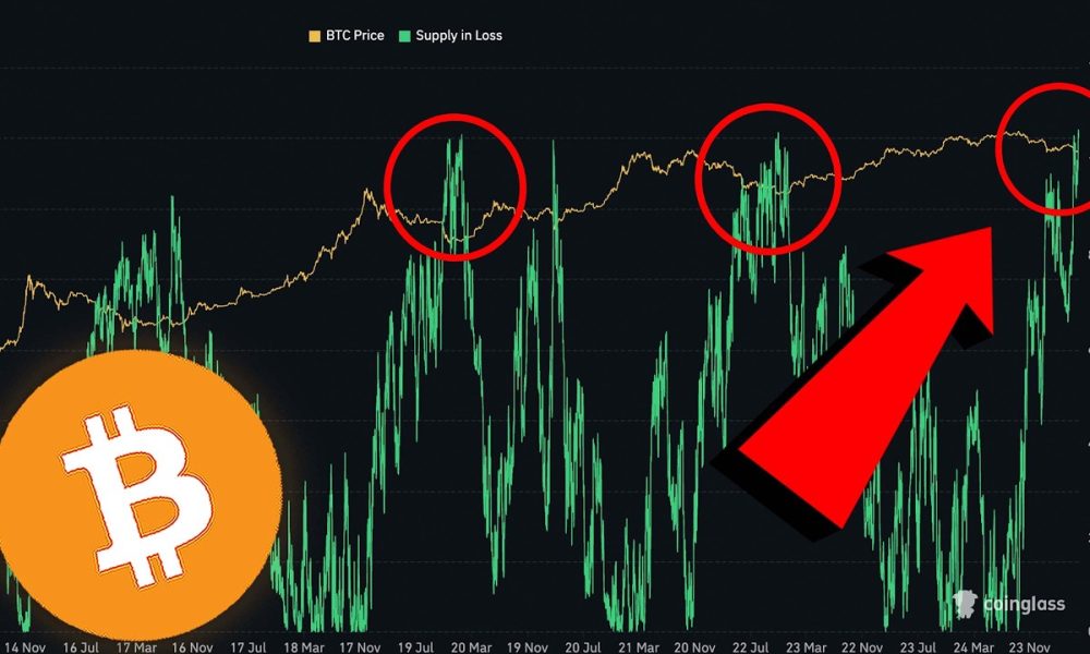 HISTORY REPEATING: This Predicted EVERY Bitcoin Bottom...