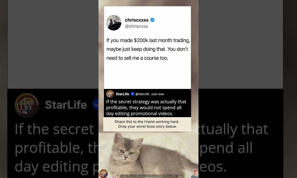 The Paradox Of Online Financial Gurus