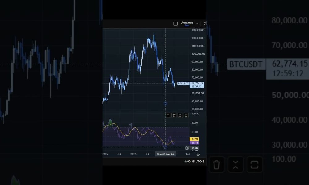 Did Bitcoin just bottom? #bitcoin #crypto  #cryptocurrency