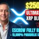$250,000 XRP LEAKED! DTCC Top Secret Document Just Exposed Escrow & 15,000% Supercycle