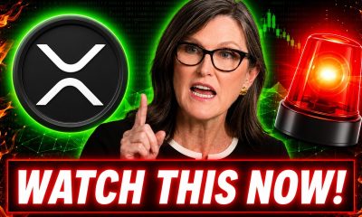 IF YOU OWN XRP YOU NEED TO WATCH THIS NOW - Cathie Wood