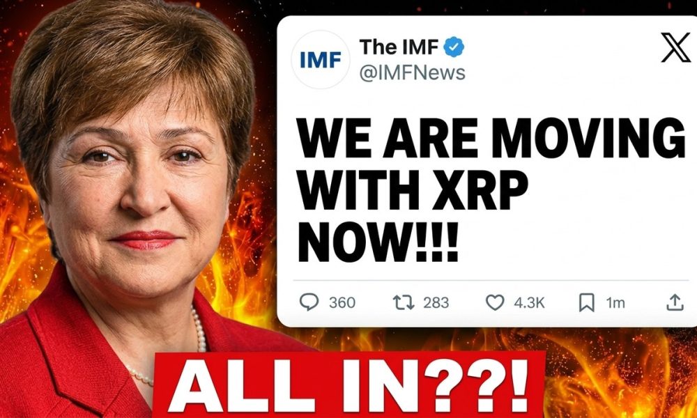 IMF CONFIRMED: XRP IS THE ONLY CHOICE!!! WE ARE MOVING FORWARD!?