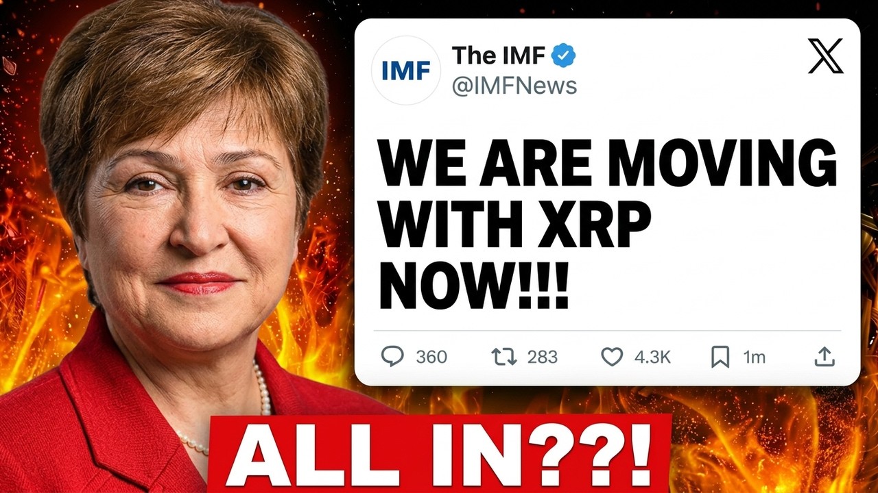 IMF CONFIRMED: XRP IS THE ONLY CHOICE!!! WE ARE MOVING FORWARD!?
