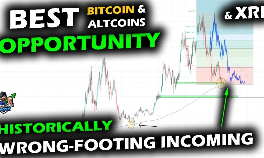Bitcoin Price Chart, XRP and Altcoin Market Setup for Wrong Footing as Historic Crowd Behavior Sets