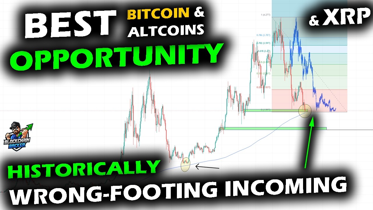 Bitcoin Price Chart, XRP and Altcoin Market Setup for Wrong Footing as Historic Crowd Behavior Sets