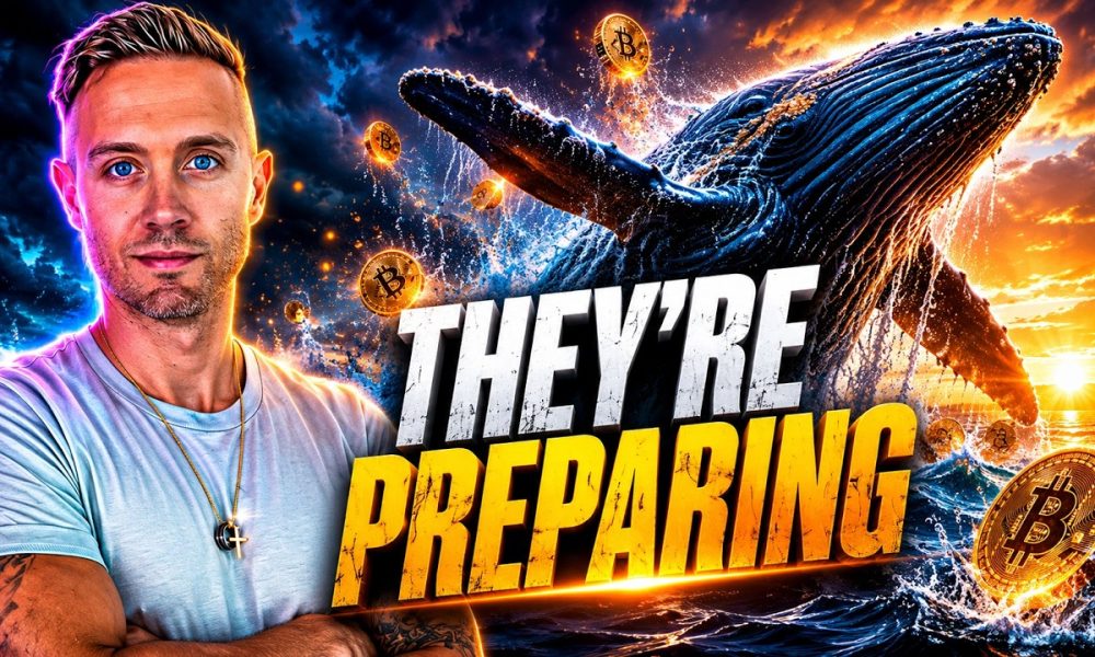 Bitcoin Whales Just Made a Massive Crypto Bull Market Bet!