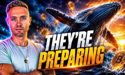 Bitcoin Whales Just Made a Massive Crypto Bull Market Bet!