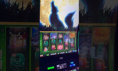 Is there ANYTHING Better than This?!? #gambling #casino #money #comedy #slots