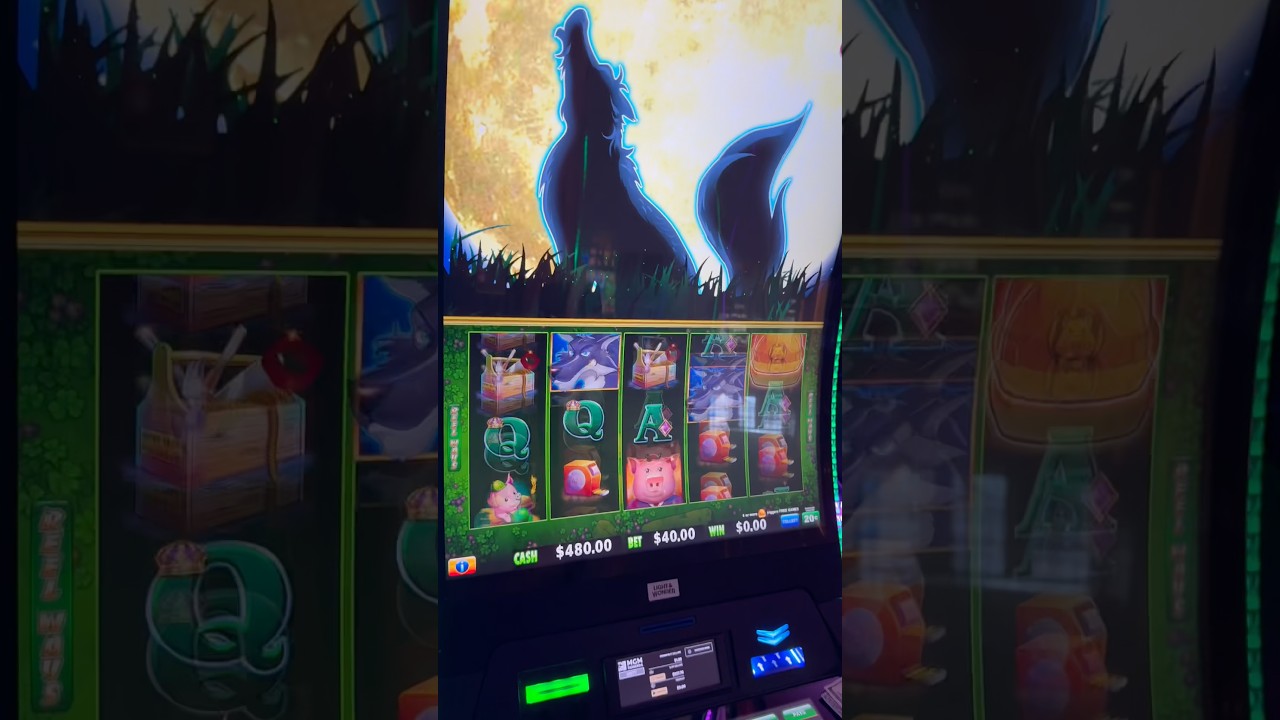 Is there ANYTHING Better than This?!? #gambling #casino #money #comedy #slots