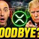 XRP JUST IN! TRUMP GETTING RID OF THEM?!! CRYPTO NEWS TODAY! BINANCE SHUTTING DOWN?!