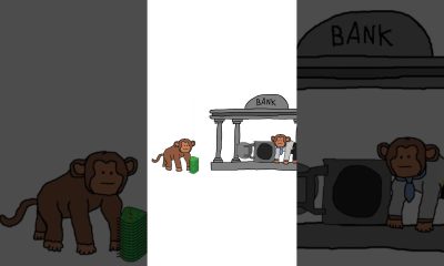 Monkey Economics How Bank Work