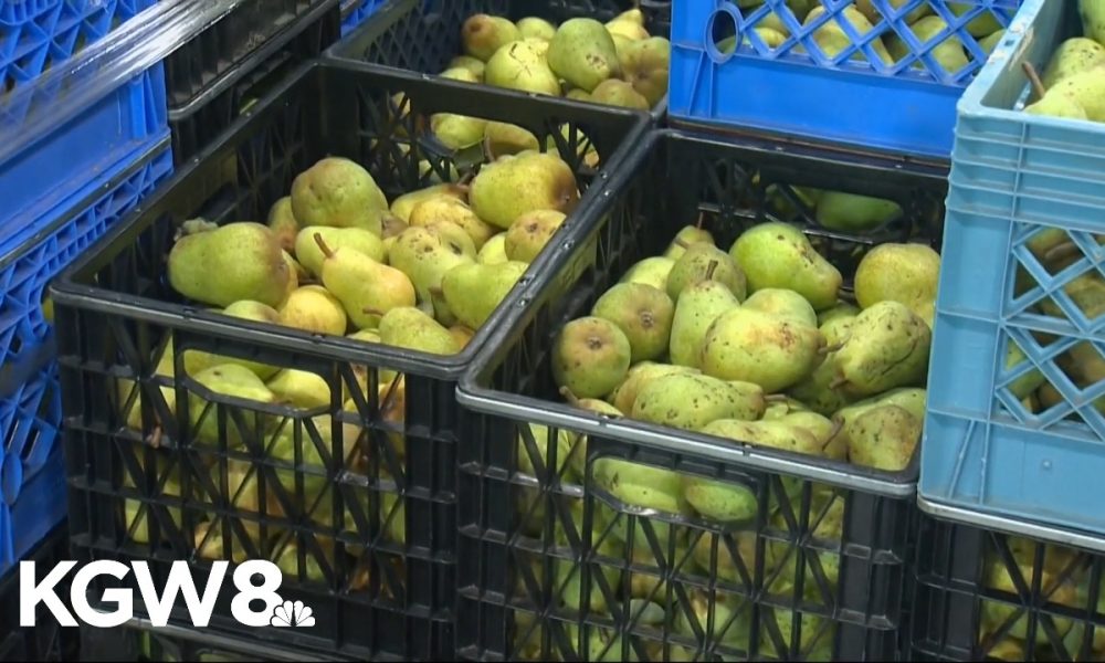 Oregon pear industry facing financial ruin