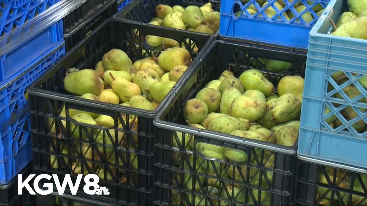 Oregon pear industry facing financial ruin