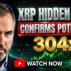XRP Hidden Data Confirms High Price Potential
