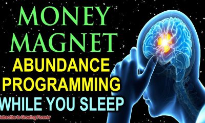 I AM A MONEY MAGNET ~ Sleep Programming Affirmations For Abundance And Wealth ~ Millionaire Mindset!