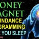 I AM A MONEY MAGNET ~ Sleep Programming Affirmations For Abundance And Wealth ~ Millionaire Mindset!