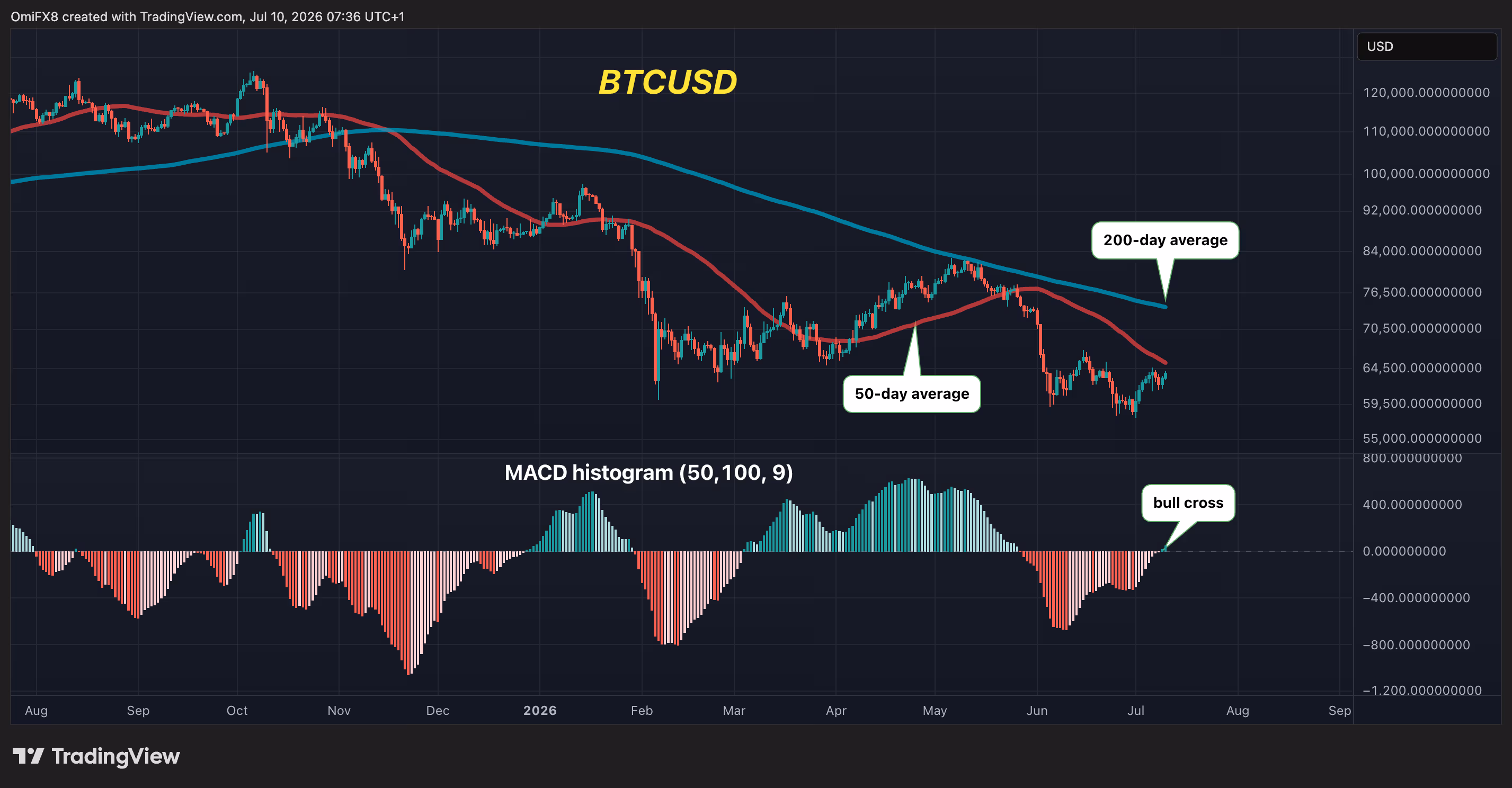 BTC's daily price swings in candlestick format with the MACD histogram. (TradingView)