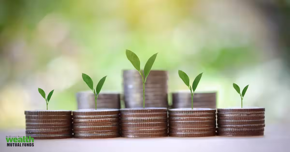 Why investors are pouring money into midcap and smallcap mutual funds again