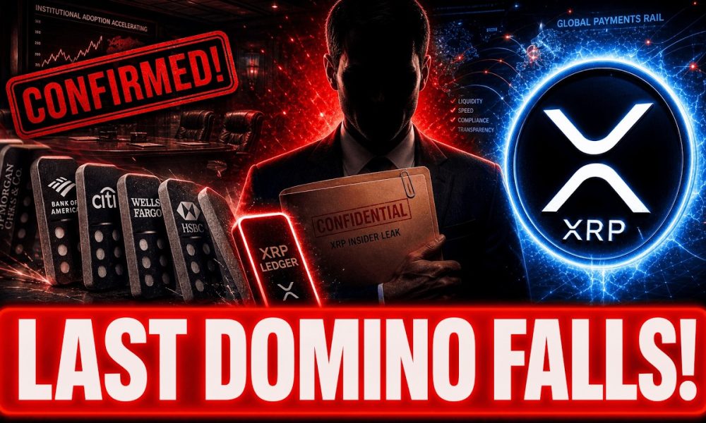 XRP INSIDER JUST CONFIRMED THE LAST DOMINO IS ABOUT TO FALL!