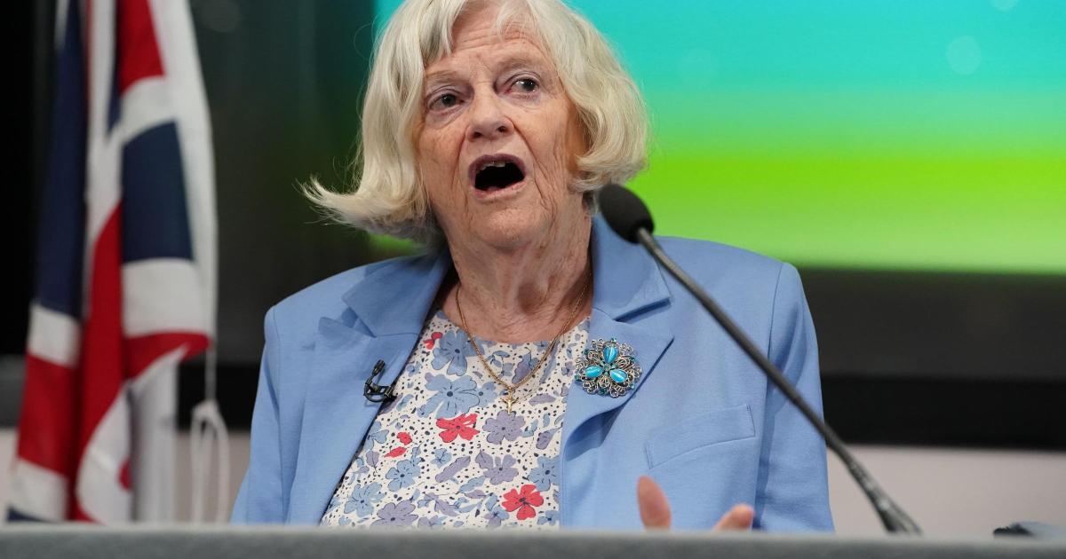 Police say Ann Widdecombe was killed in 'targeted attack'
