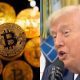 Reporter Asks Trump: Are There Plans To Put Bitcoin Into Trump Accounts?
