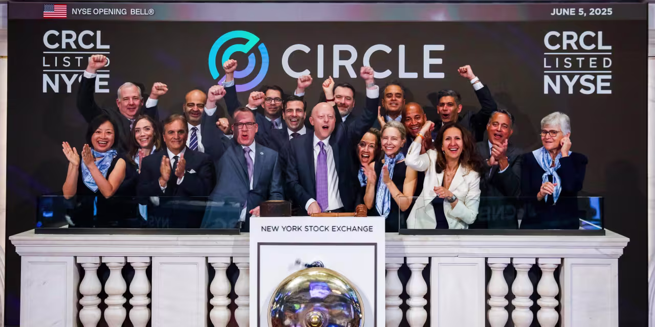 Circle Stock Downgraded on Big Threat From New Stablecoin