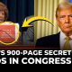 'This Is Trump's Financial Disclosure' Lawmaker Stuns Congress, Flashes 900-Page File | US Congress