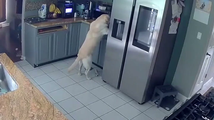 Video Player Placeholder