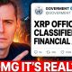 THEY JUST FLIPPED THE SWITCH ON XRP!!! (XRP CLASSIFIED AS A FINANCIAL ASSET!)