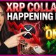 SHOCKING XRP ETF INFLOWS COLLAPSE TO ZERO! Ondo Becomes New Crypto Favorite? Chip Stocks Drop!
