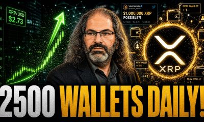 DAVID SCHWARTZ DIDN'T SAY XRP IS GOING TO $1,000,000? - 2500 NEW XRP WALLETS PER DAY!