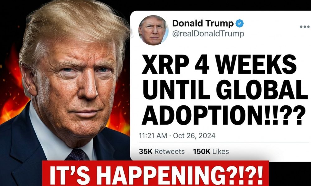 XRP FINAL PHASE NOW!!!! 4 WEEKS! (XRP-CLARITY WARNING)