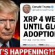 XRP FINAL PHASE NOW!!!! 4 WEEKS! (XRP-CLARITY WARNING)