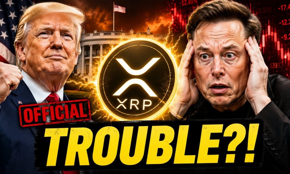 XRP JUST IN! I TOLD YOU THIS WOULD HAPPEN!