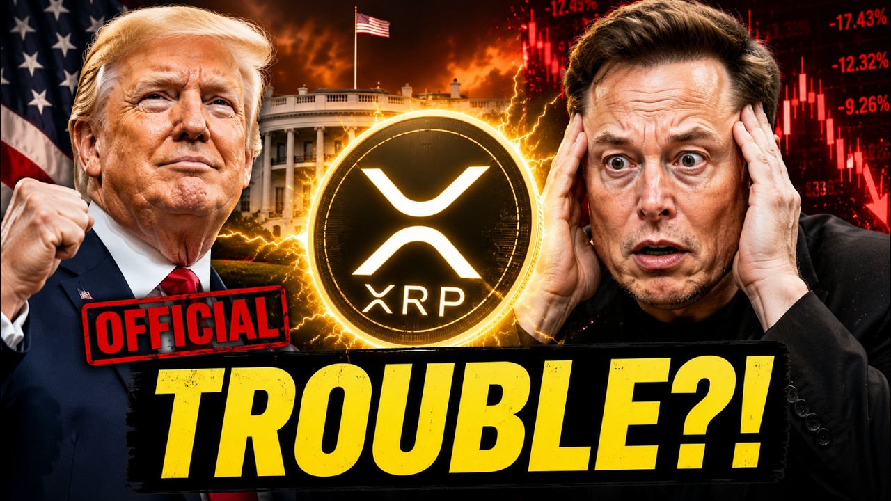 XRP JUST IN! I TOLD YOU THIS WOULD HAPPEN!