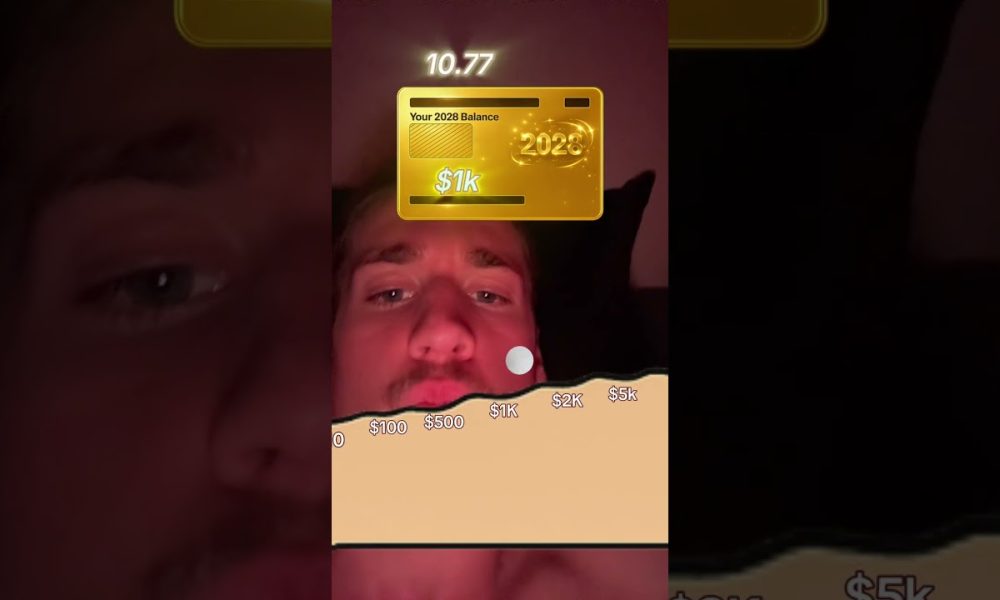 My 2028 Balance #money #relatable #2028 #game