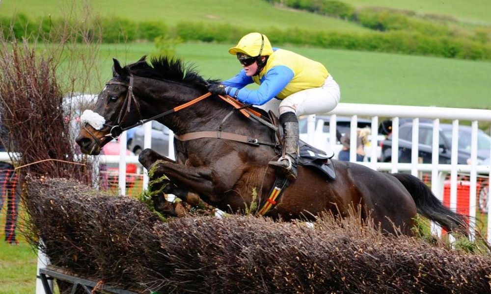 Damysus targets richest ever York Stakes at York Racecourse