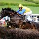 Damysus targets richest ever York Stakes at York Racecourse