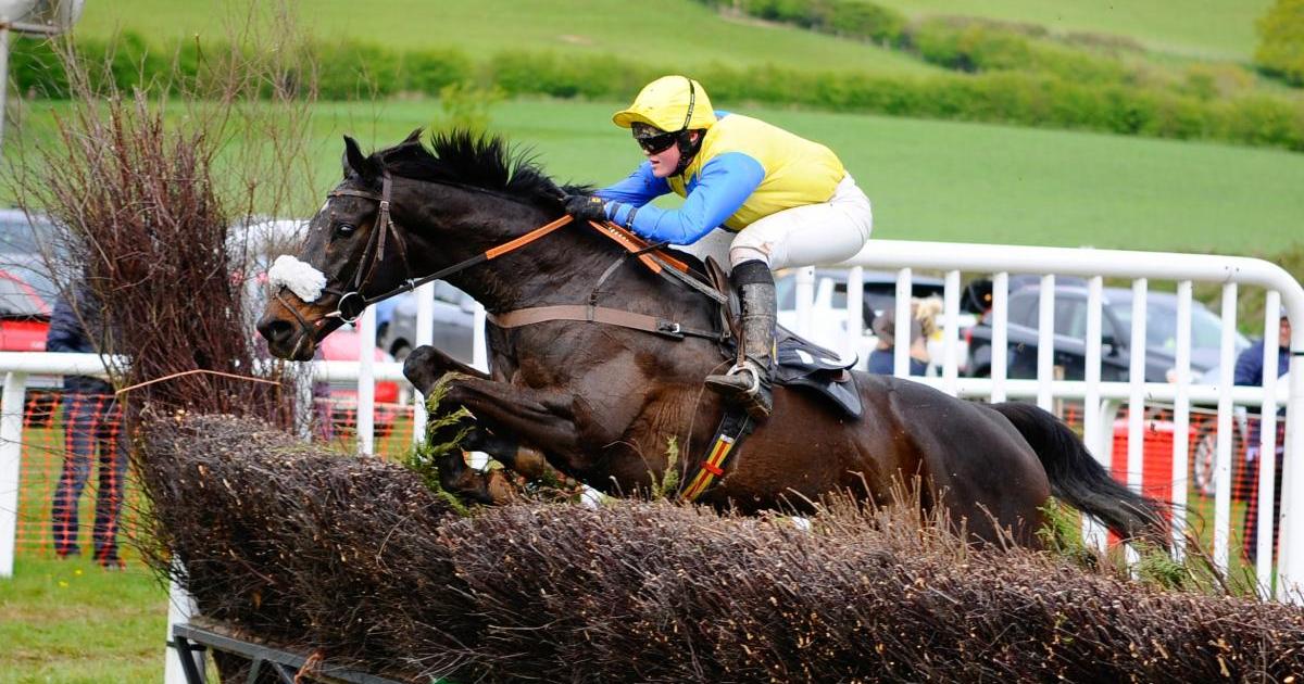 Damysus targets richest ever York Stakes at York Racecourse