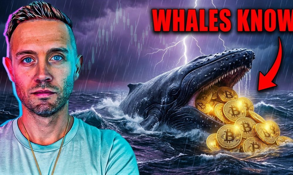 Bitcoin Has NEVER Done This Before. | Crypto Whales Are Accumulating Like They Know