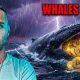 Bitcoin Has NEVER Done This Before. | Crypto Whales Are Accumulating Like They Know
