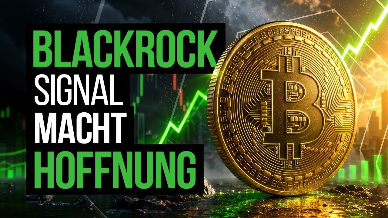 Bitcoin vor Comeback? Dieses BlackRock-Signal macht Hoffnung